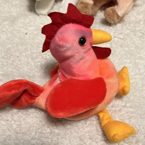 "Strut" Beanie Baby in new condition - Picture 3 of 6